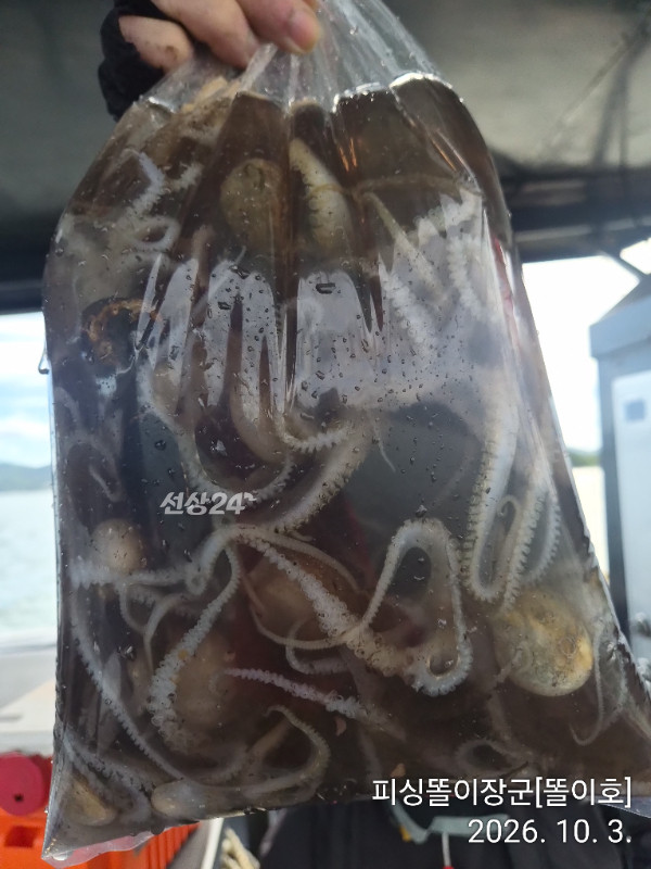 IMG_20261003_150002.jpg