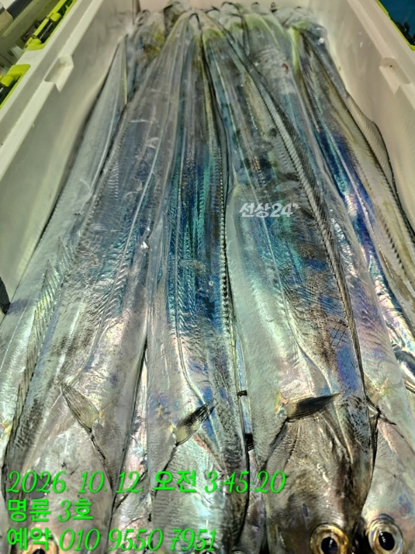 KakaoTalk_20261012_052546557_23.jpg