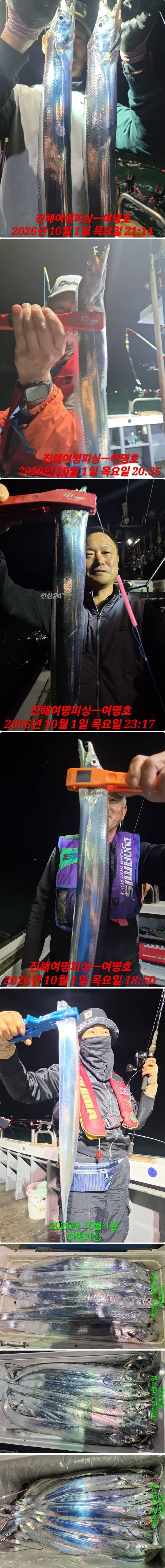 2일갈치하.jpg