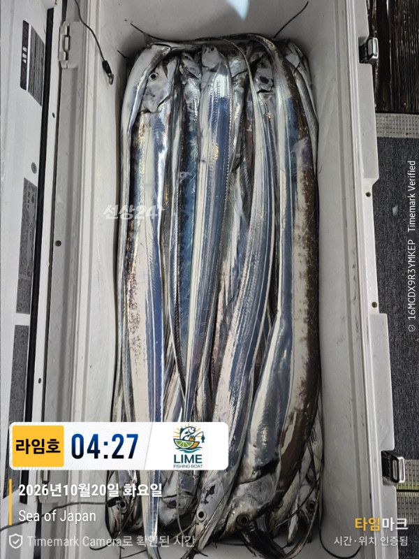 KakaoTalk_20261020_085945175_06.jpg