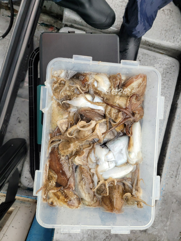 Resized_20261024_145759.jpeg