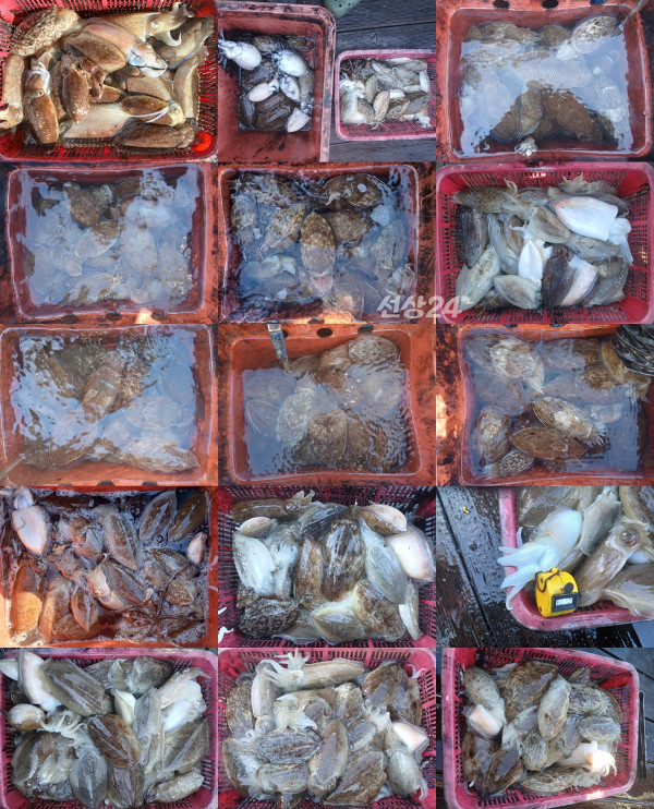 KakaoTalk_20261023_184250474-tile.jpg