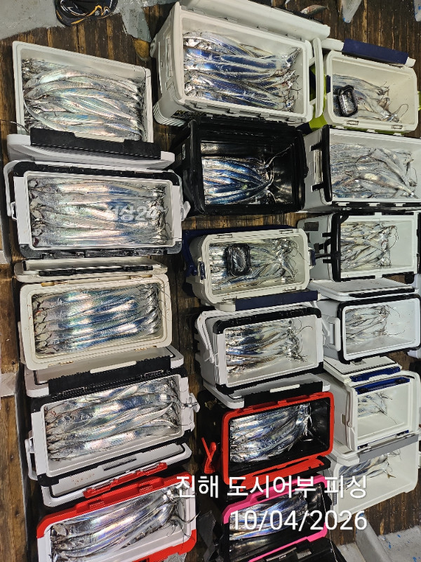 KakaoTalk_20261004_050453266_11.jpg