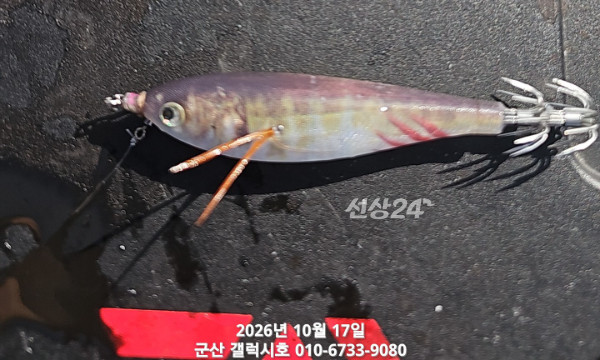 1000130644.jpg