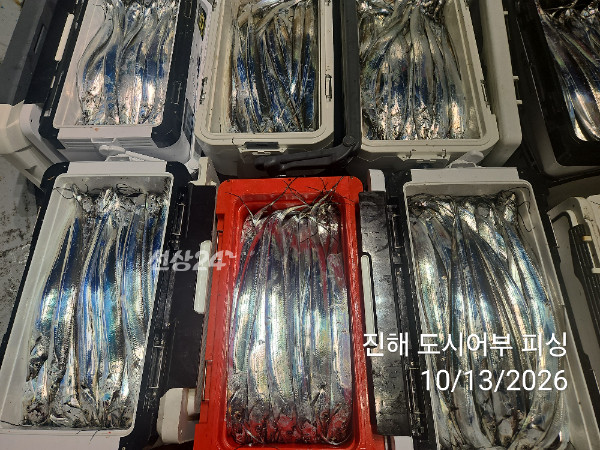KakaoTalk_20261013_051029627_17.jpg
