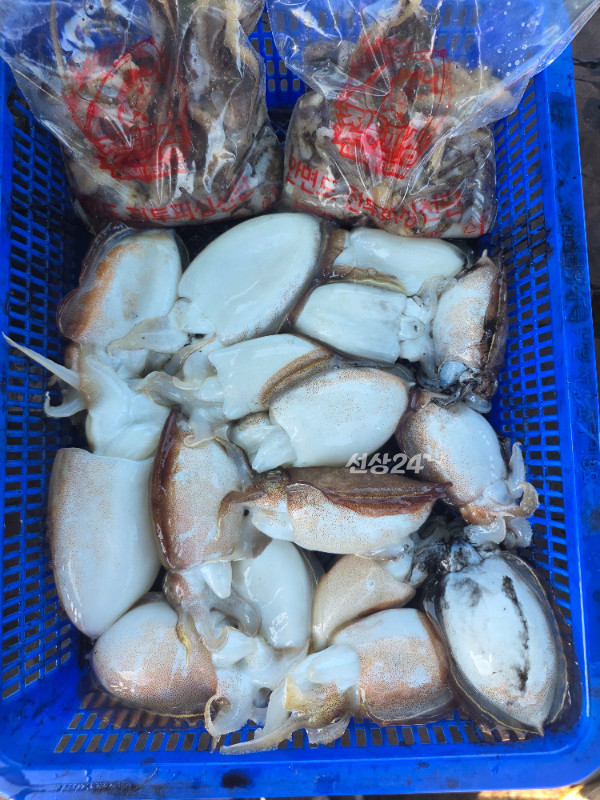 KakaoTalk_20261017_184317055_08 (1).jpg