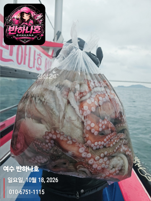 20261018_170923_제목-여수 반하나호_010-6751-1115.jpg