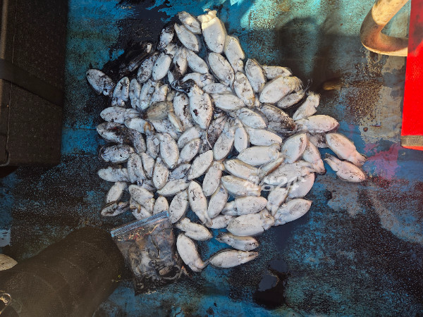 1000034887.jpg