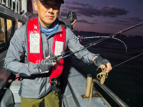 7302.jpg
