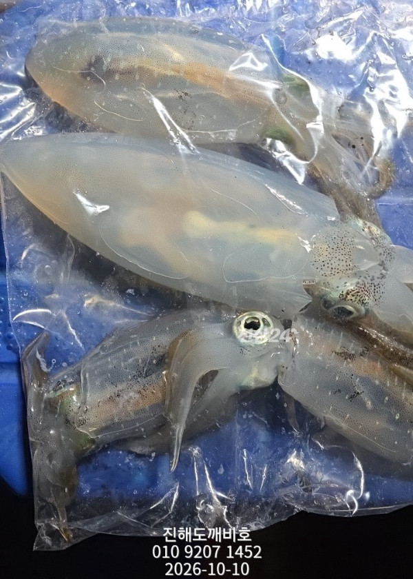 9147.jpg