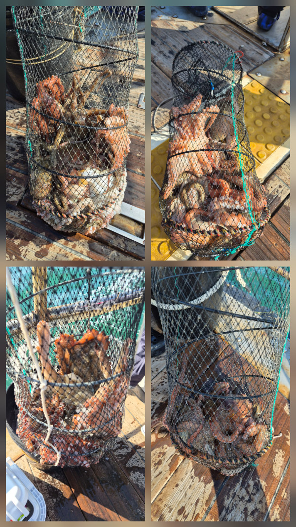 20261006_153909.jpg