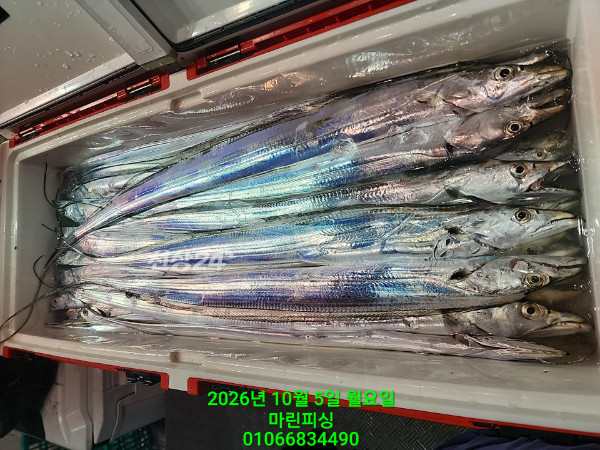KakaoTalk_20261005_132543972_18.jpg