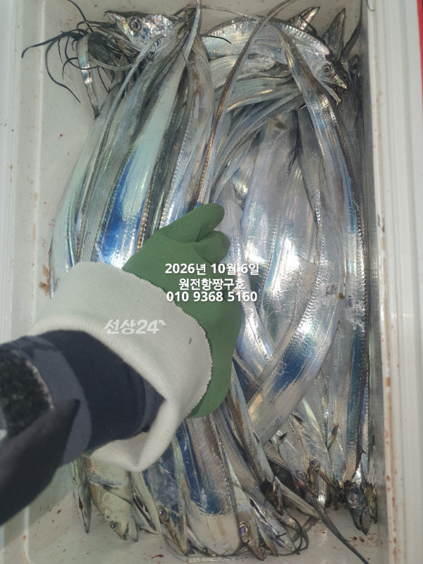 KakaoTalk_20261006_045621155_10.jpg