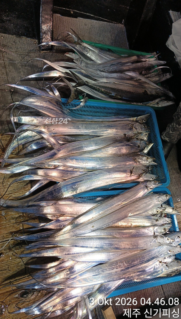 KakaoTalk_20261003_083540471_23.jpg