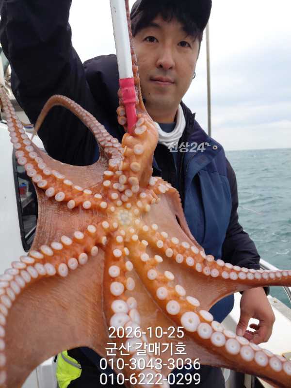 13023.jpg