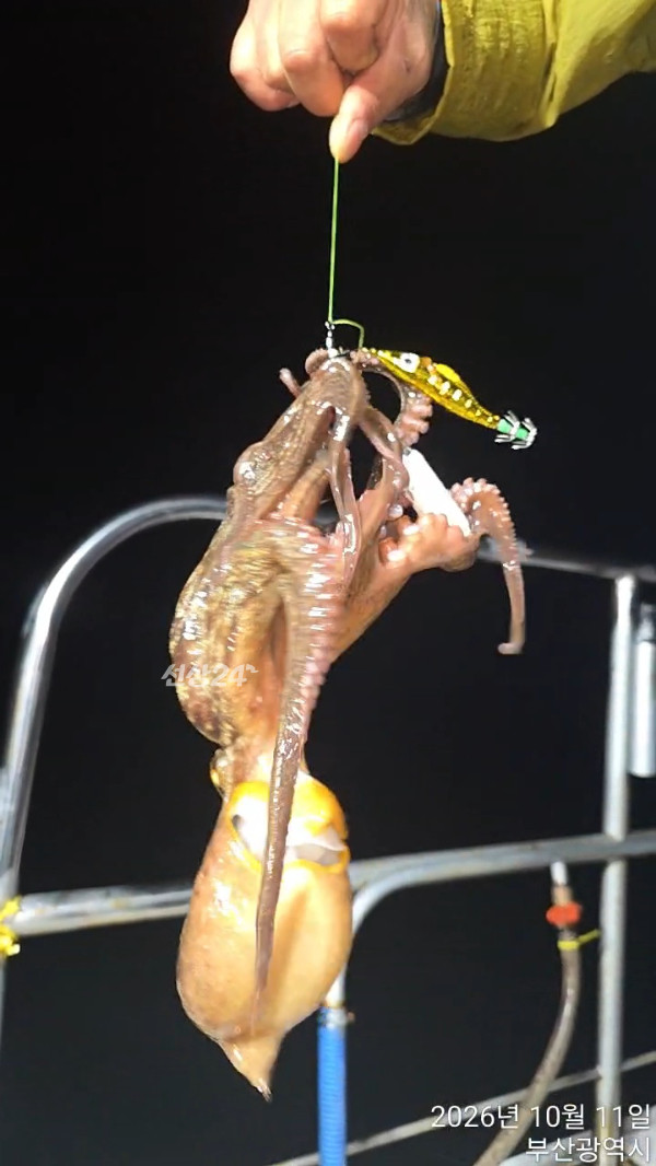 TimeVideo_20261011_201239.jpg