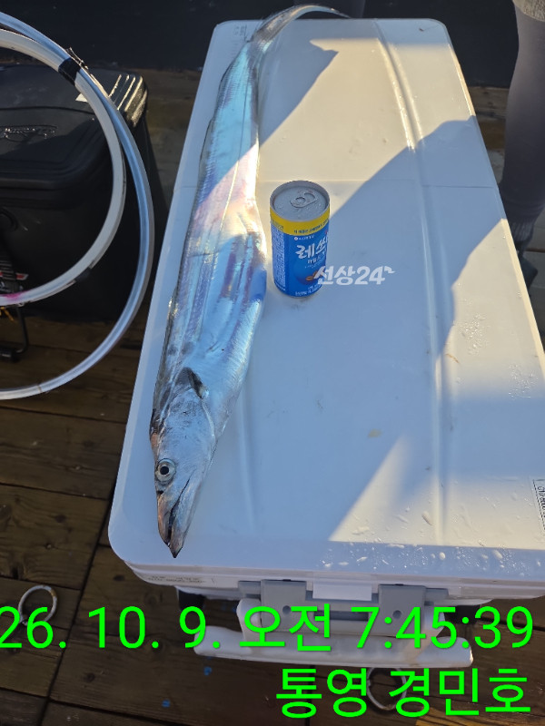 1791499576795.jpg