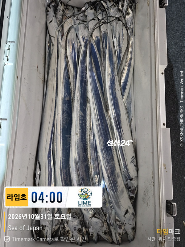 KakaoTalk_20261031_043559265_10.jpg