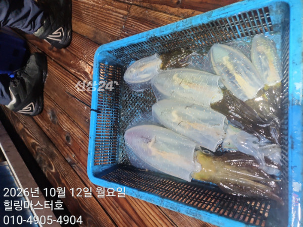 KakaoTalk_20261012_034309652_13.jpg