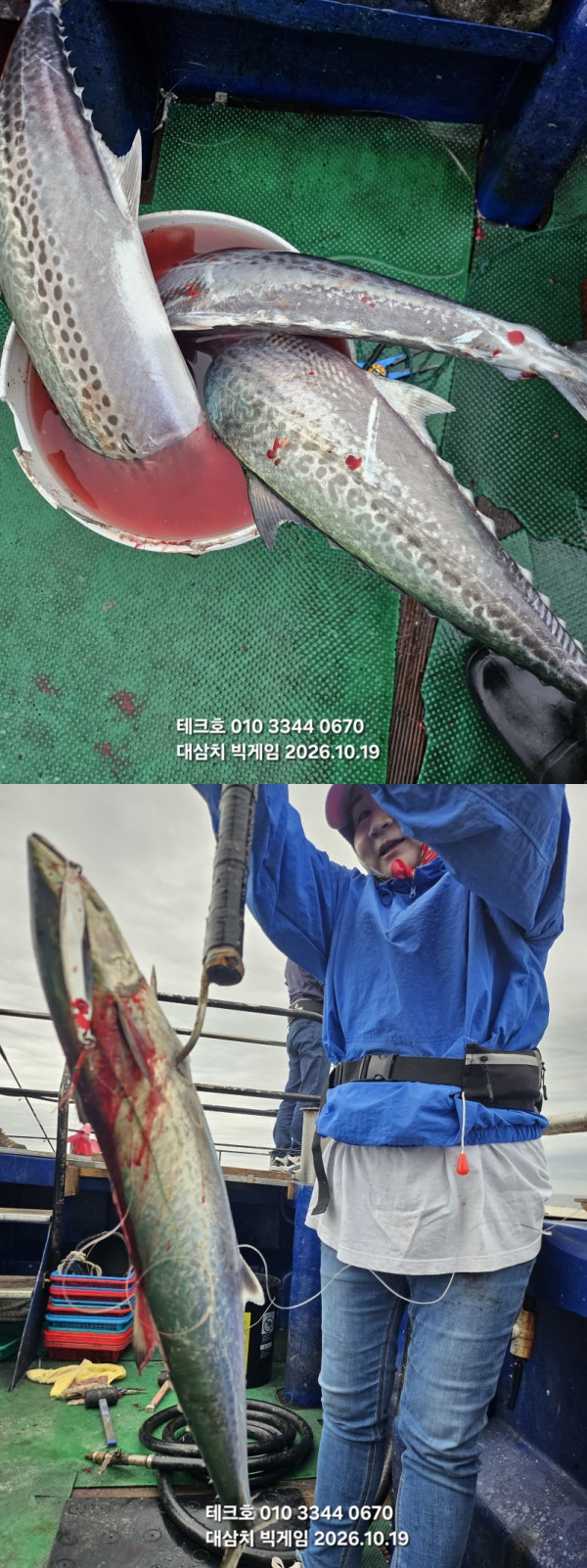 KakaoTalk_20261019_170931659_05-vert.jpg
