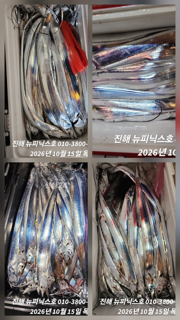 1000101212.jpg