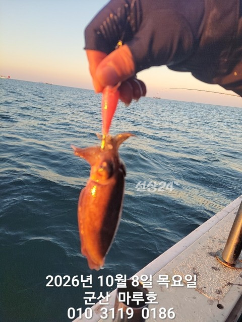 KakaoTalk_20261008_161016845_12.jpg