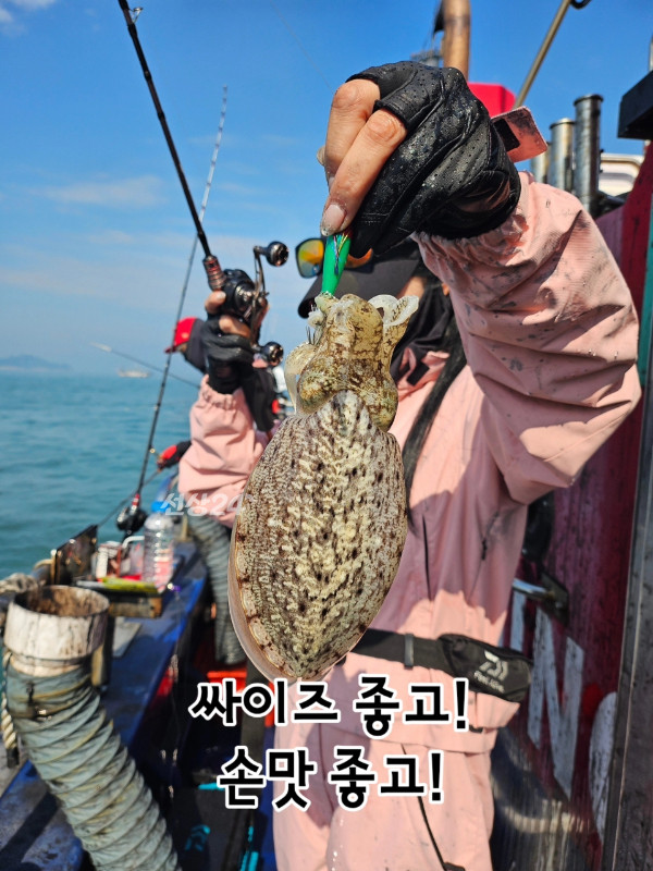 오천항 가즈아호_사진_20261012_1.jpg