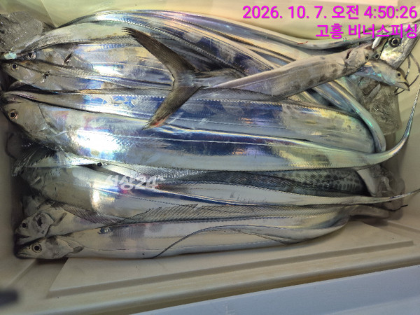 1000056709.jpg