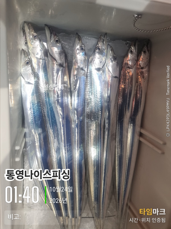 20261024_014051_글꼴-통영나이스피싱.jpg