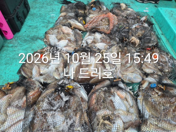 KakaoTalk_20261025_165157312_05.jpg