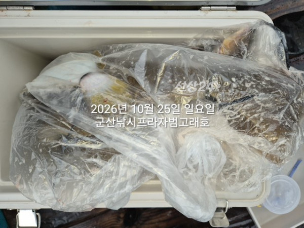 KakaoTalk_20261025_175508608_01.jpg