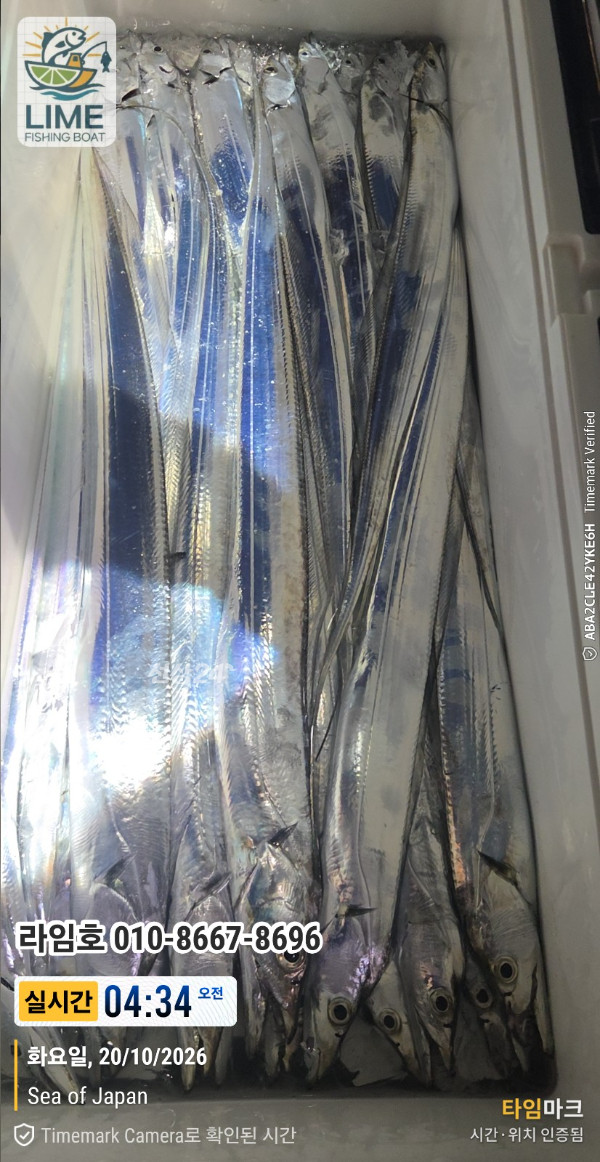 KakaoTalk_20261020_085945175_15.jpg