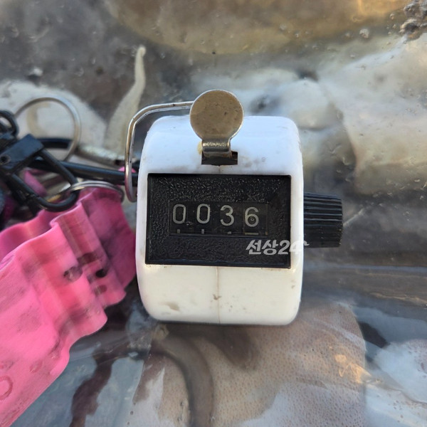 24956.jpg