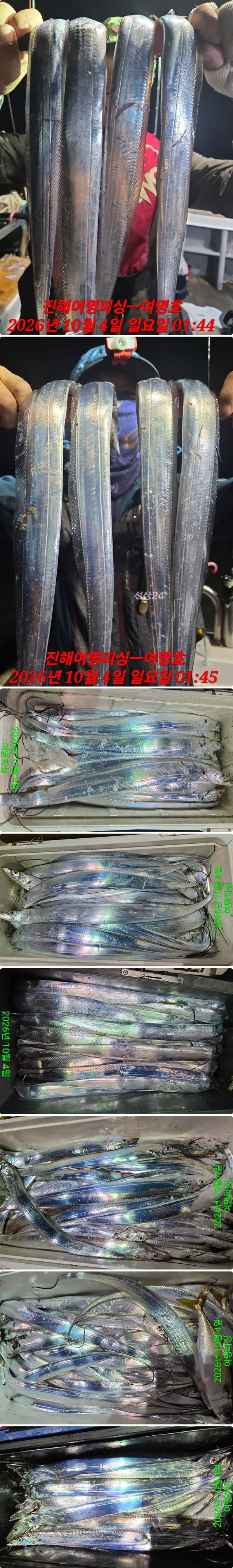 4일갈치하1.jpg