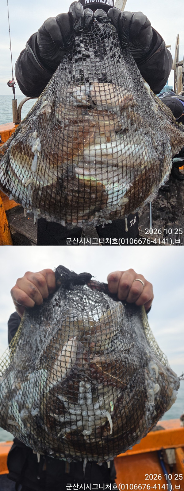 KakaoTalk_20261025_190742005-vert222222222222.jpg