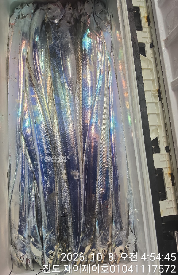 1000056430.jpg