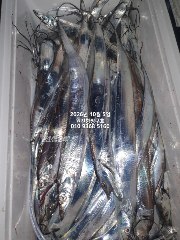 KakaoTalk_20261005_051425255_23.jpg