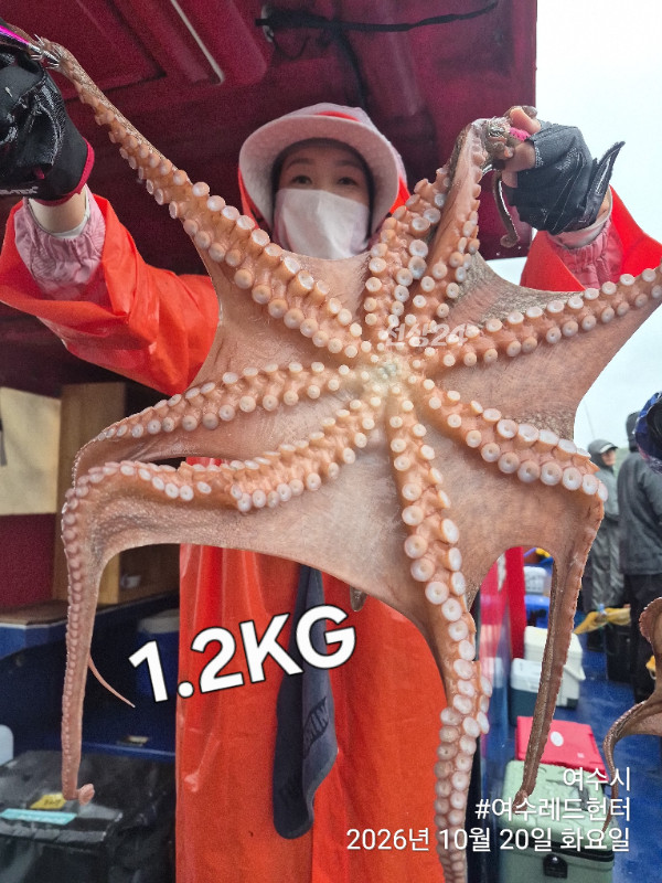 34982.jpg