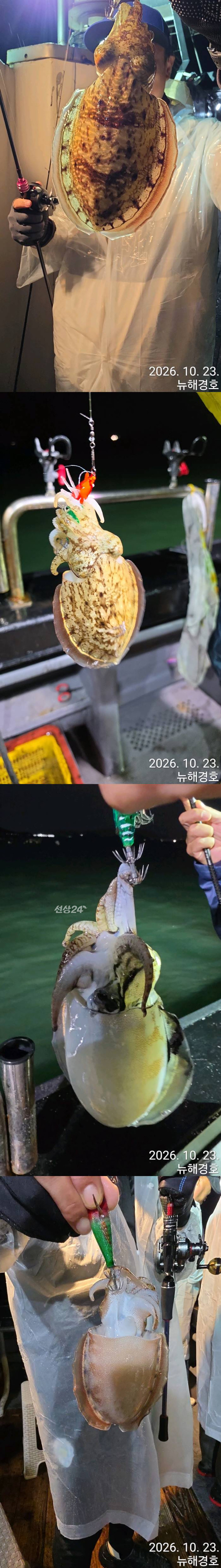 1792792065962-vert.jpg