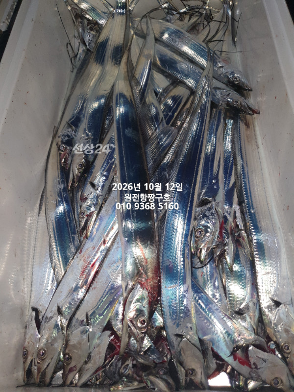 KakaoTalk_20261012_134836822_05.jpg