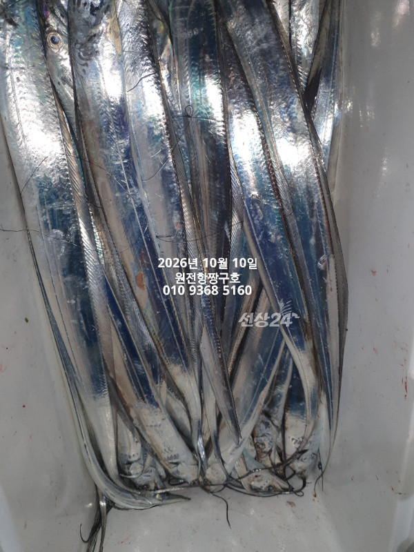 KakaoTalk_20261010_060125117_17.jpg