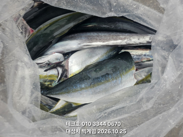 KakaoTalk_20261026_153607606_07.jpg