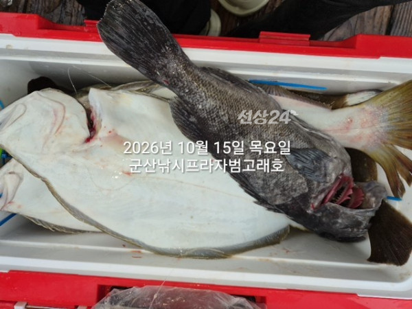 KakaoTalk_20261015_173103111_06.jpg