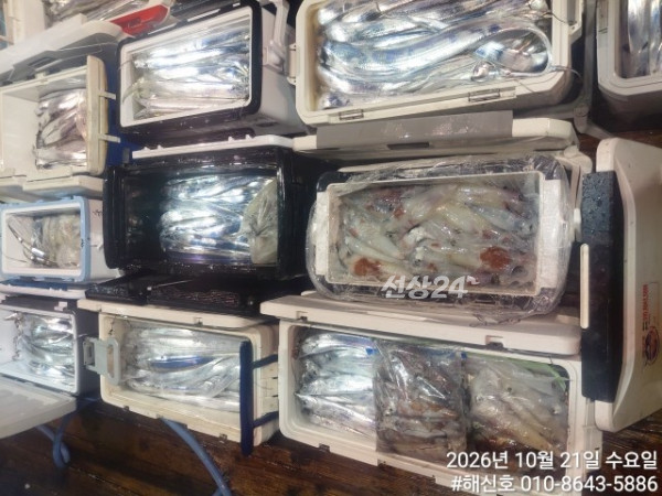 1000035104.jpg