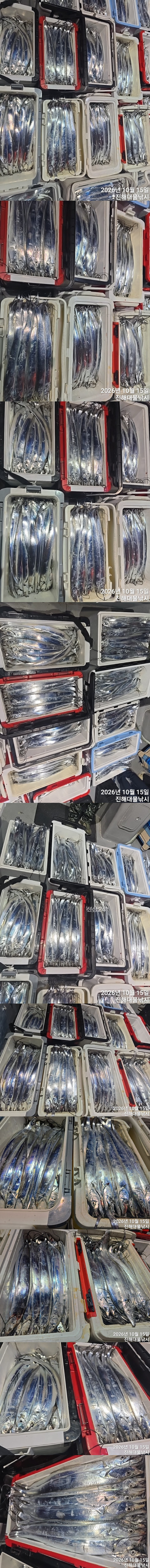 칼치3.jpg
