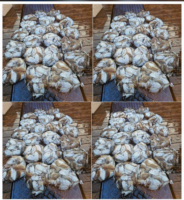 1000083096.jpg