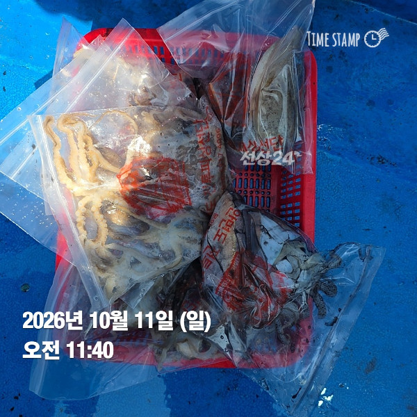 KakaoTalk_20261011_172621376_04.jpg