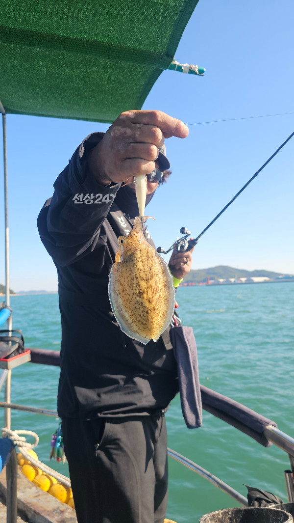 KakaoTalk_20261007_195158438_10.jpg