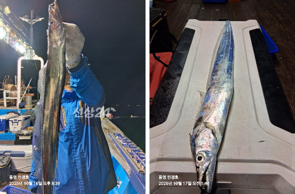 이미지.jpeg