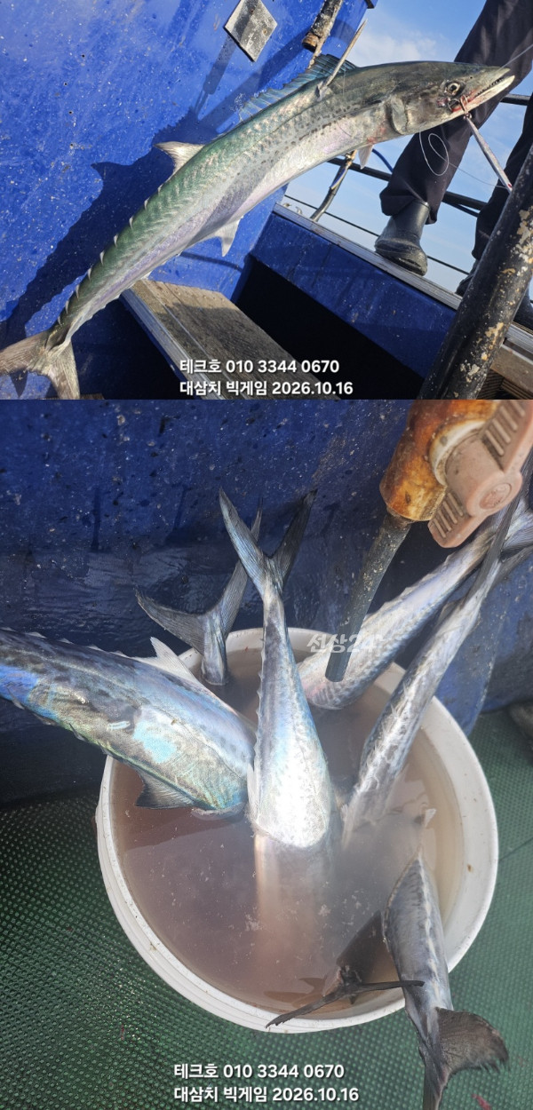 KakaoTalk_20261016_174326988_09-vert.jpg